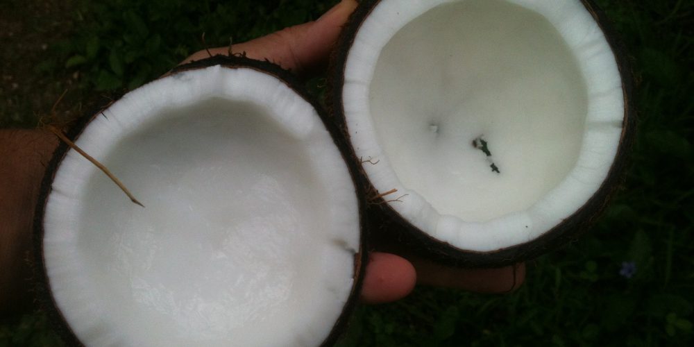 Kokosöl – die natürliche Gesichtscreme. Wie wirkt es? Wie sollte es verwendet werden? Für welchen Hauttyp ist es geeignet?